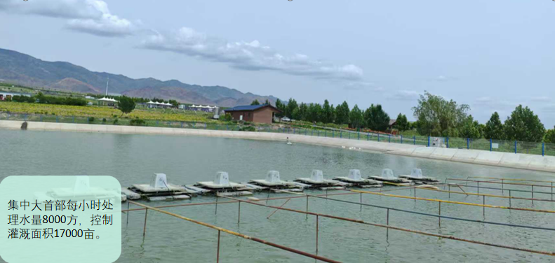 伊宁市天山花海项目